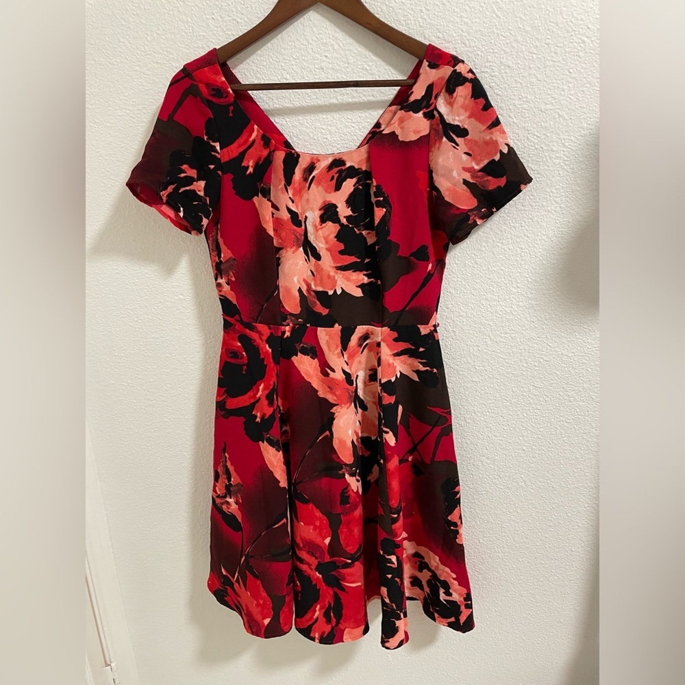 Eva Mendes Chic Floral Dress in Red and Black